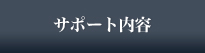 サポート内容